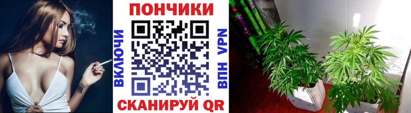Марихуана гибрид  купить   Иноземцево 